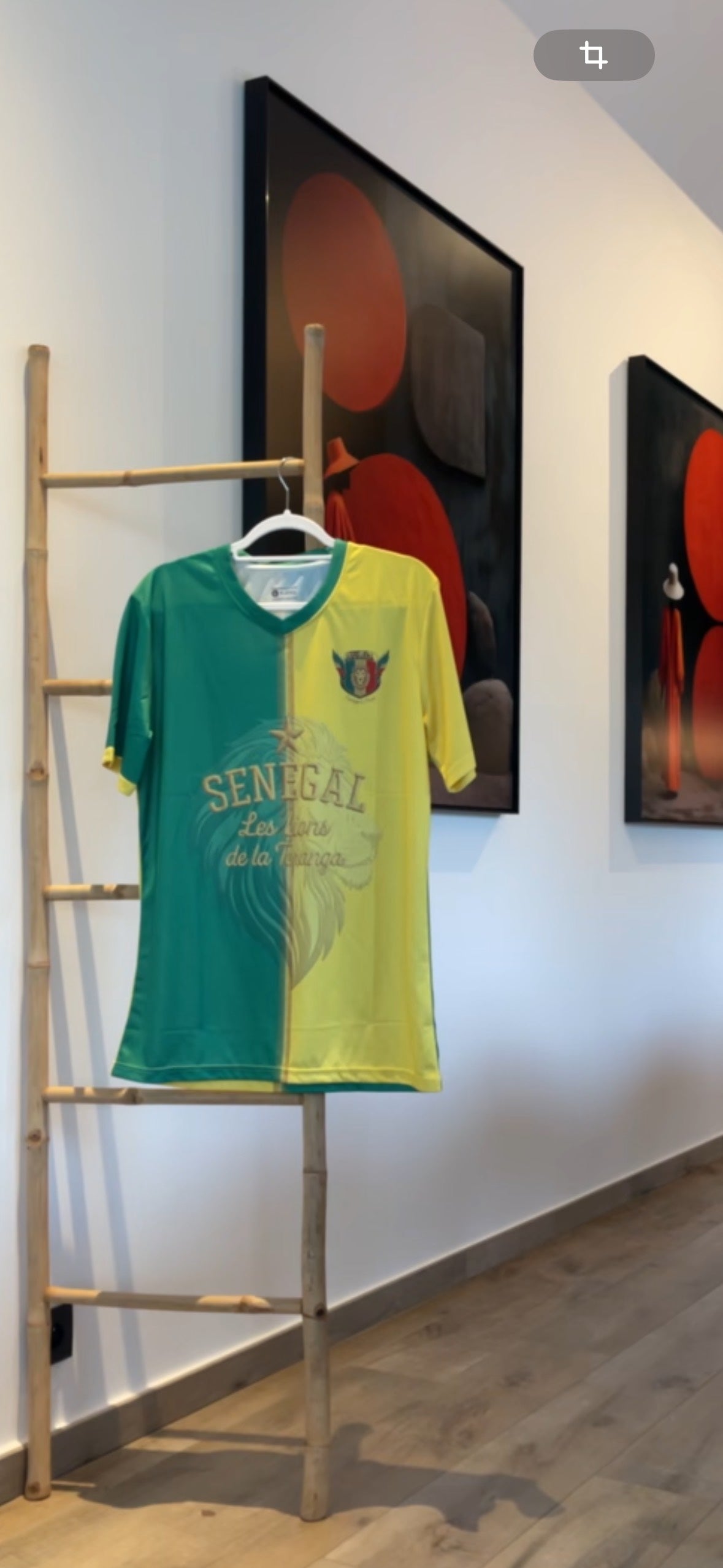 🇸🇳 Jersey Sénégal – Lions de la Teranga